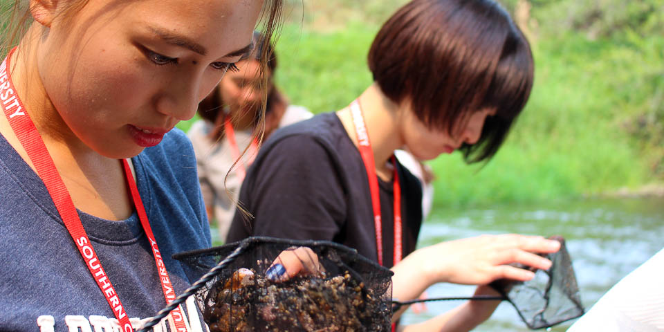 Two girls looking at creatures in nets